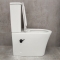 Унитаз-компакт Bloomix Alan 1219SB bidet black безободковый с биде и смесителем