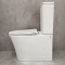 Унитаз-компакт Bloomix Alan 1219SB bidet black безободковый с биде и смесителем