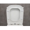 Унитаз-компакт Bloomix Gustav 2.0T140305R/UF1 безободковый
