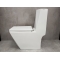 Унитаз-моноблок Bloomix Веrg Мonо 071 SB/UF2 Ceramic+ безободковый, с биде и смесителем