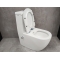 Унитаз-моноблок Bloomix Mono 5011R/UF1 безободковый, с биде