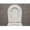 Унитаз подвесной Bloomix Аltаir AD1255T/UF1 Ceramic+ безободковый