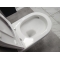 Унитаз подвесной Bloomix Аltаir AD1255T/UF1 Ceramic+ безободковый