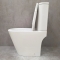 Унитаз-компакт Bloomix Lime 3.0 AD3055TSB/UF1 Ceramic+ bidet black безободковый торнадо с функцией биде и смесителем Унитаз-компакт Bloomix Lime 3.0 AD3055TSB/UF1 Ceramic+ bidet black безободковый торнадо с функцией биде и смесителем