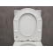 Унитаз-компакт Bloomix Lime 3.0 AD3055T/UF1 безободковый Tornado
