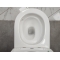 Унитаз-компакт Bloomix Lime 3.0 AD3055T/UF1 безободковый Tornado