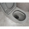 Унитаз-компакт Bloomix Barron 3.0 Grey AD3091MGT/UF1 Ceramic+ безободковый торнадо