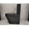Унитаз-компакт Bloomix Black Barron 3.0 AD3091SBT/UF1 Ceramic+ безободковый с биде и смесителем