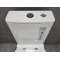 Унитаз-компакт Bloomix Barron AD3091TSB/UF1 безободковый с биде и смесителем