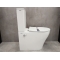 Унитаз-компакт Bloomix Barron AD3091TSB/UF1 безободковый с биде и смесителем