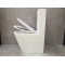 Унитаз-компакт Bloomix Salchow 3.0 АD3093ТSВ/UF1 торнадо Ceramic+ с функцией биде и смесителем Унитаз-компакт Bloomix Salchow 3.0 АD3093ТSВ/UF1 торнадо Ceramic+ с функцией биде и смесителем