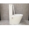 Унитаз-компакт Bloomix Salchow 3.0 АD3093ТSВ/UF1 торнадо Ceramic+ с функцией биде и смесителем Унитаз-компакт Bloomix Salchow 3.0 АD3093ТSВ/UF1 торнадо Ceramic+ с функцией биде и смесителем