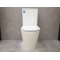 Унитаз-компакт Bloomix Salchow 3.0 АD3093ТSВ/UF1 торнадо Ceramic+ с функцией биде и смесителем Унитаз-компакт Bloomix Salchow 3.0 АD3093ТSВ/UF1 торнадо Ceramic+ с функцией биде и смесителем