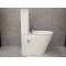 Унитаз-компакт Bloomix Salchow 3.0 АD3093ТSВ/UF1 торнадо Ceramic+ с функцией биде и смесителем Унитаз-компакт Bloomix Salchow 3.0 АD3093ТSВ/UF1 торнадо Ceramic+ с функцией биде и смесителем