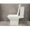 Унитаз-компакт Bloomix Marmond AD3125T/UF1 Ceramic+ безободковый торнадо Унитаз-компакт Bloomix Marmond AD3125T/UF1 Ceramic+ безободковый торнадо