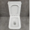 Унитаз-компакт Bloomix Amerind F2075S/UF1 безободковый с биде и смесителем