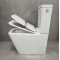Унитаз-компакт Bloomix Amerind F2075S/UF1 безободковый с биде и смесителем