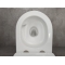Унитаз подвесной Bloomix Ultra 3.0 MD1204T/UF3 безободковый торнадо