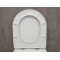Унитаз подвесной Bloomix Divа МD1211R/UF1 Rimlеss Сerаmic+ безободковый