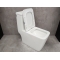 Унитаз-моноблок Bloomix Mono MD2322R/UF3 моноблок безободковый