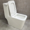 Унитаз-моноблок Bloomix Terra MD2323R/UF3 Ceramic+ моноблок безободковый