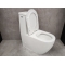 Унитаз-моноблок Bloomix Mono MD5011R/UF3 Ceramic+ моноблок безободковый