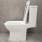 Унитаз-компакт Bloomix Bravos MT3127TSB/UF1 безободковый торнадо с функцией биде и смесителем Унитаз-компакт Bloomix Bravos MT3127TSB/UF1 безободковый торнадо с функцией биде и смесителем