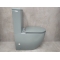 Унитаз-компакт Bloomix Marble 2605 GW безободковый