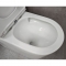 Унитаз-компакт Bloomix Olimp 12005 безободковый