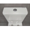Унитаз-компакт Bloomix S-Line 5010 безободковый