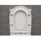 Унитаз-компакт Bloomix S-Line 5010 безободковый