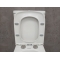 Унитаз-компакт Bloomix S-line 5017 безободковый