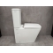 Унитаз-компакт Bloomix S-line 5017 безободковый