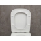 Унитаз-компакт Bloomix Weimar T140103R/UF1 безободковый