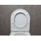 Унитаз подвесной Bloomix Vortex 2.0 T12110/UF1 безободковый