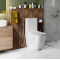 Унитаз-компакт Cerutti Spa Chika CT8708 безободковый, с микролифтом