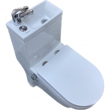 Унитаз-моноблок Laguraty 8074 AC с раковиной