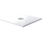 Поддон для душа RGW Stone Tray ST-W 80x80 белый