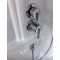 Душевая кабина Royal Bath RB 8120BP2-M L