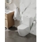 Унитаз-компакт Teymi Lina R T40120 безободковый