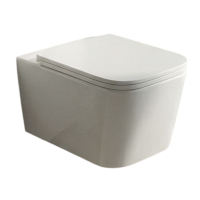 Унитаз подвесной Teymi Helmi PP T40312 безободковый