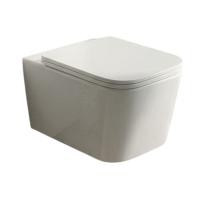 Унитаз подвесной Teymi Helmi PP Vortex T40313 безободковый