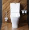 Унитаз-компакт Damixa Titan DX78C8600SC с микролифтом