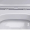 Унитаз подвесной Damixa Sirius DX86C1700SC с микролифтом