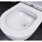 Унитаз подвесной Damixa Sirius DX86C1800SC с микролифтом