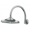 Верхний душ Grohe Rainshower Rustic 210 28369000