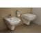 Унитаз подвесной VitrA S20 5507B003-0101