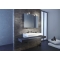 Раковина Jacob Delafon Terrace EXD9112 80 см с подсветкой