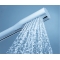 Душевая лейка Grohe Euphoria Cosmopolitan 27367000