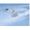 Верхний душ Grohe New Tempesta 100 26088000